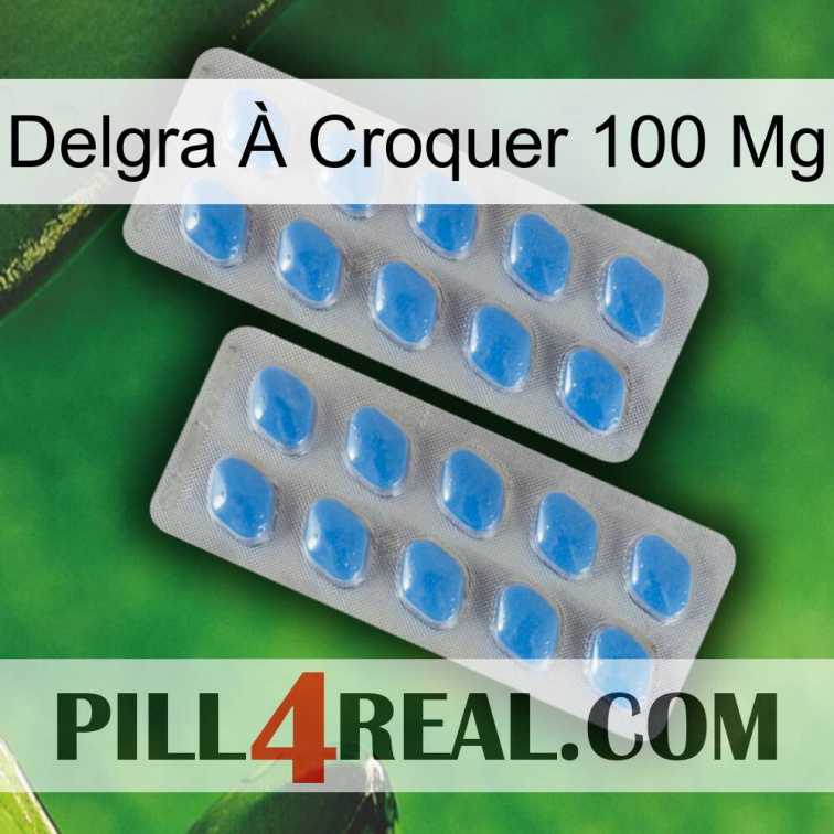 Delgra À Croquer 100 Mg 23